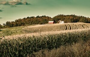 Cómo es la vida en Wisconsin Sooluciona