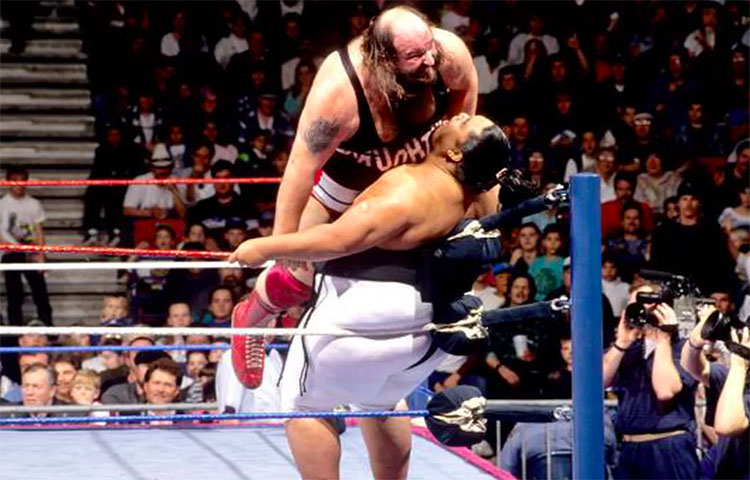 Royal Rumble de 1993