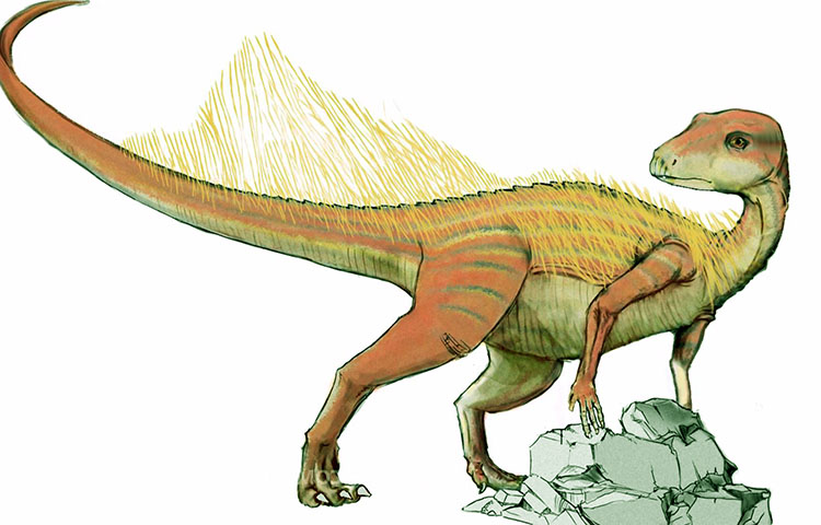 dinosaurio Abrictosaurus