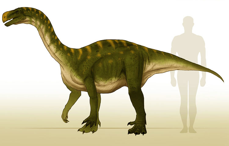 dinosaurio aardonyx