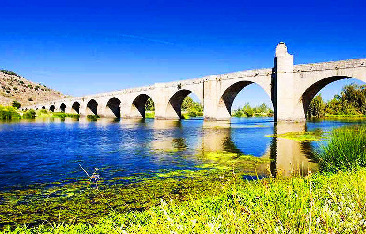 Cuáles son los ríos mas importantes de España