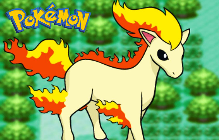 Ponyta