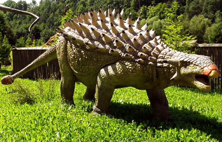 Ankylosaurus