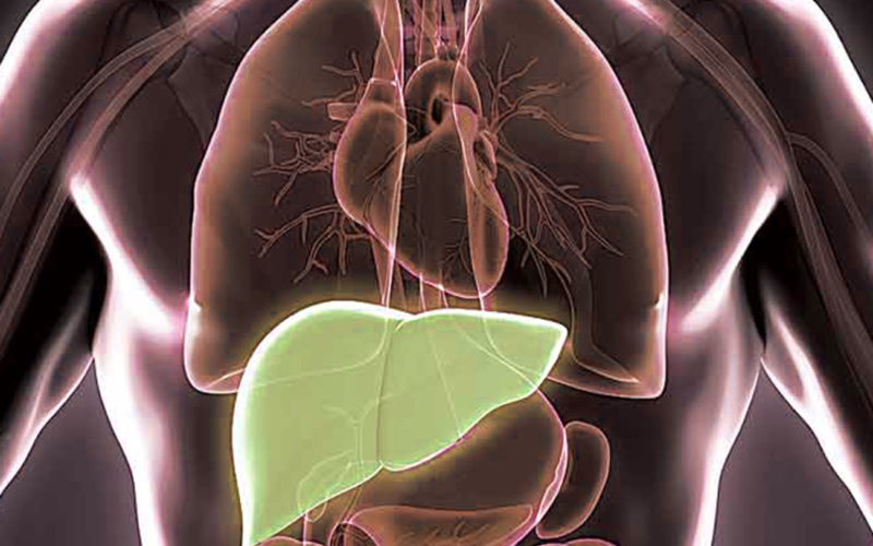 Diferencias entre Hepatitis C y Hepatitis B