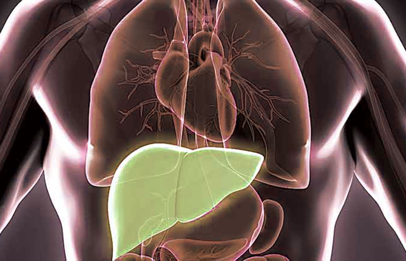 Diferencias entre Hepatitis C y Hepatitis B