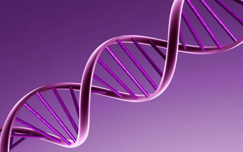 Diferencias entre la genética y el ADN
