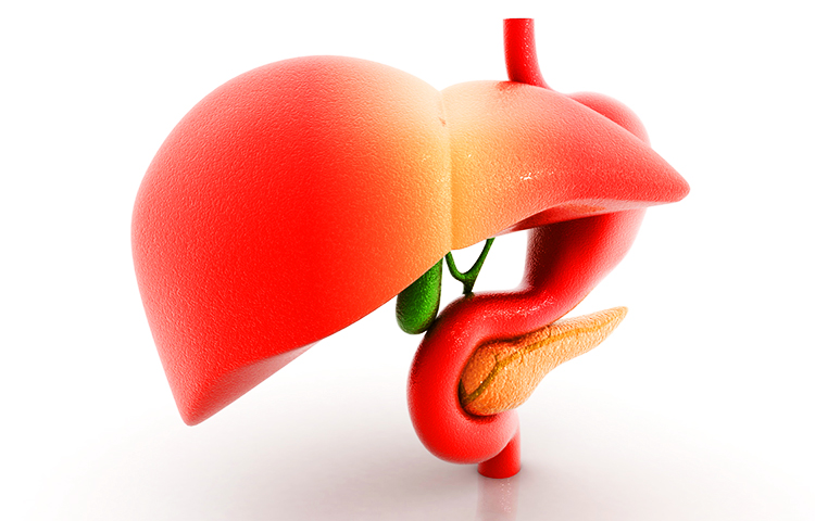 Diferencias entre cirrosis y hepatitis