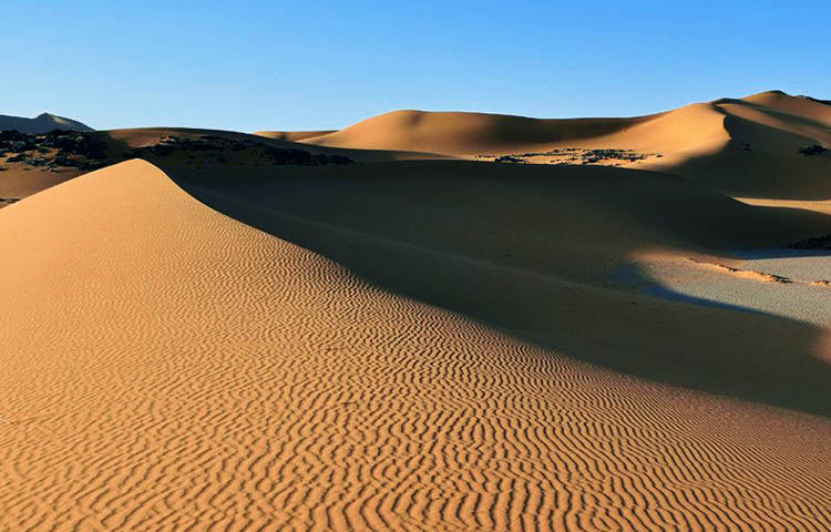 Caracteristicas del desierto del Sahara