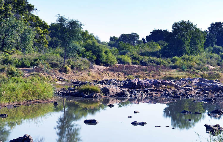 Caracteristicas del rio Limpopo