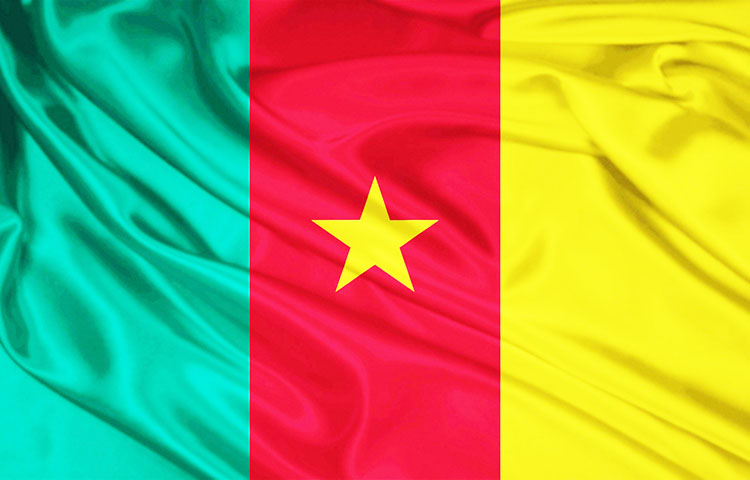 bandera de Camerun