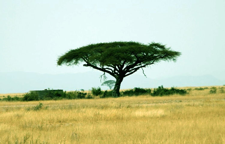 clima de Kenia