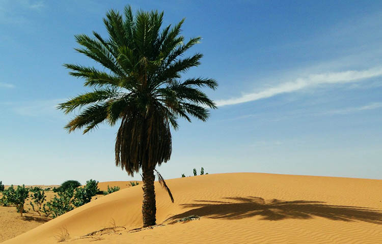 clima de Mauritania