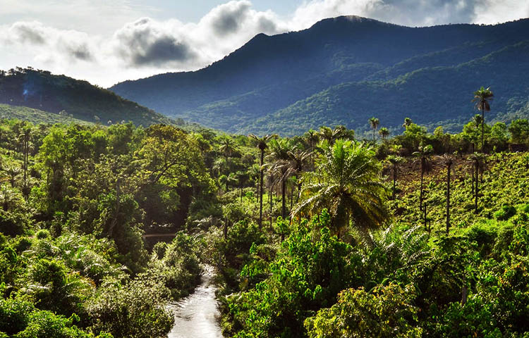 clima de Sierra Leona