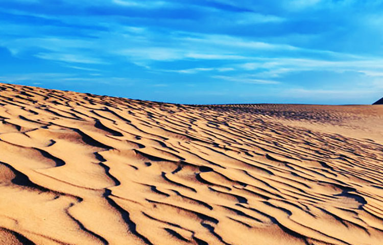 clima del desierto del Sahara