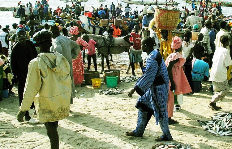 grupos etnicos de Senegal