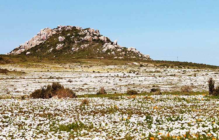 region de Namaqualand