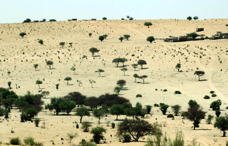 region del Sahel