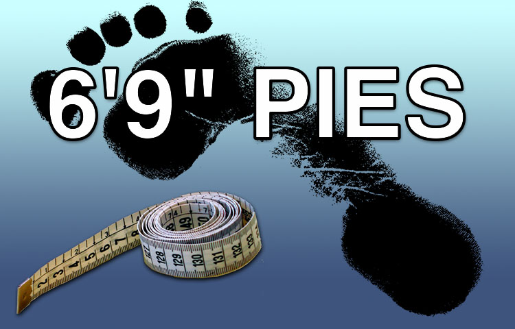 6,9 pies