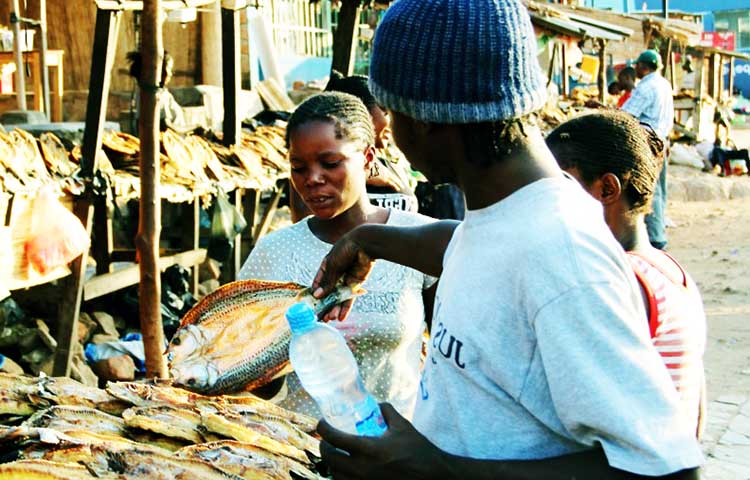 En que idiomas se habla en Zambia