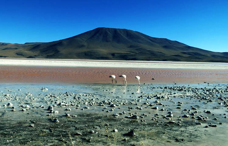 donde esta Bolivia