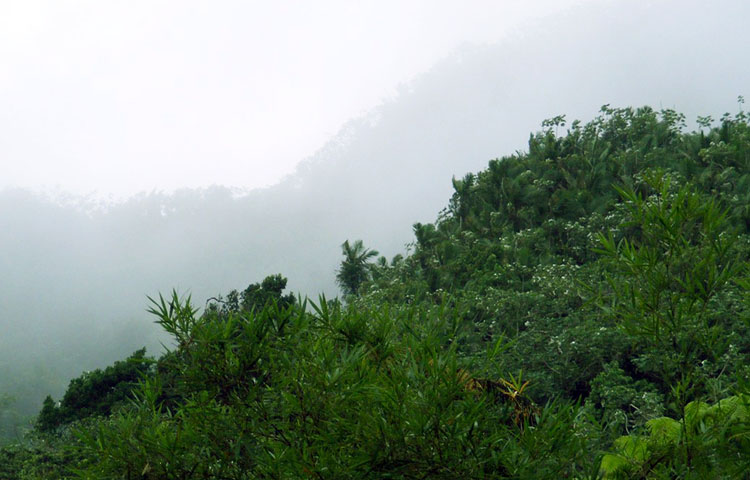 donde esta Puerto Rico