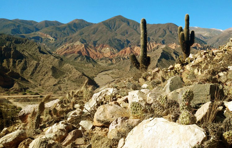 clima de Argentina