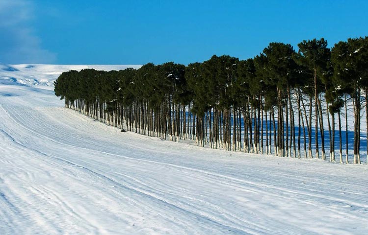 clima de Azerbaiyan