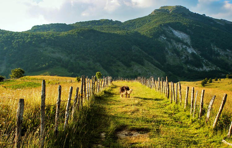 clima de Bosnia y Herzegovina