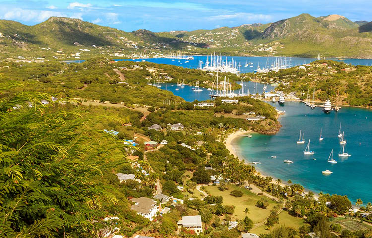 flora y fauna de Antigua y Barbuda