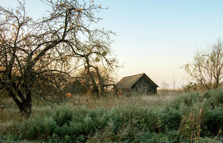 flora y fauna de Bielorrusia