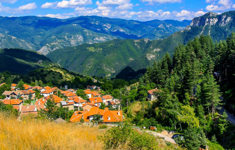 flora y fauna de Bulgaria