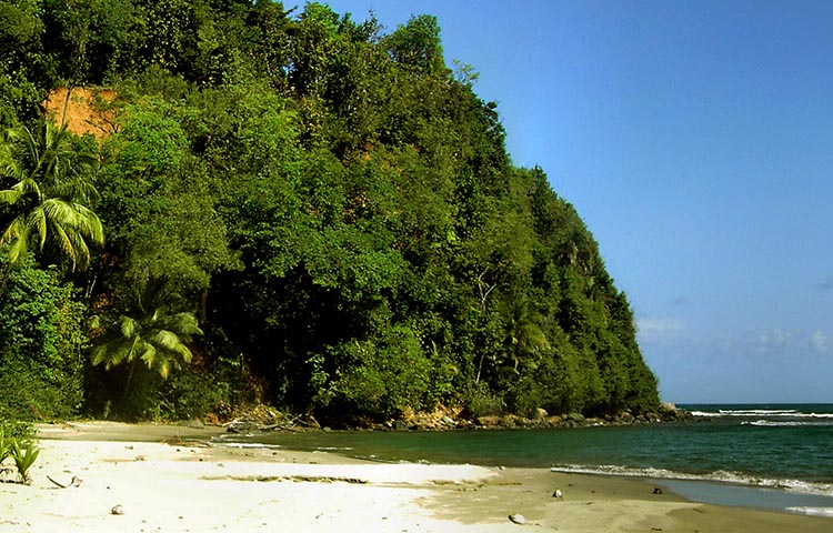 flora y fauna de Dominica