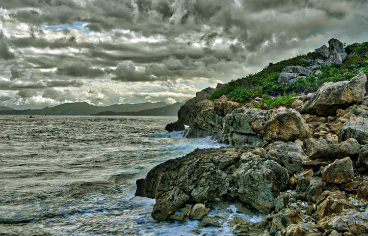 flora y fauna de Haiti