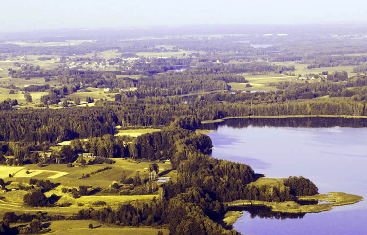 flora y fauna de Lituania