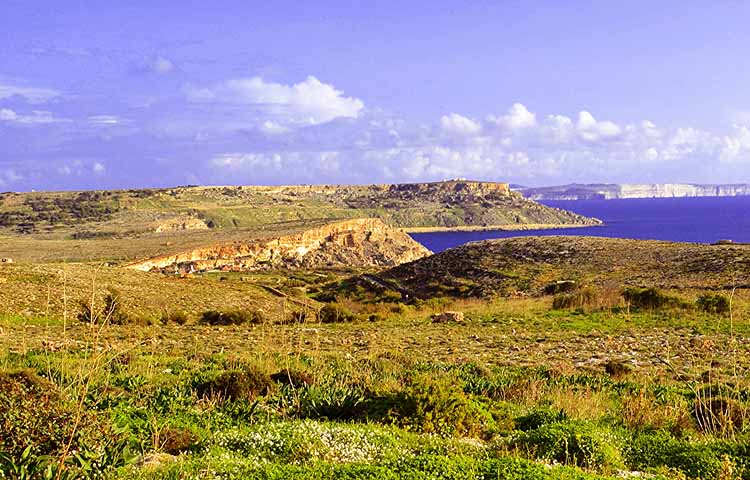 flora y fauna de Malta