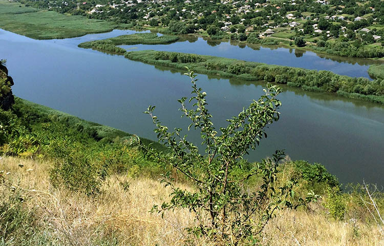 flora y fauna de Moldavia