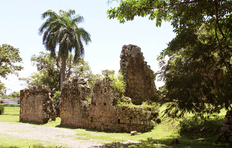 flora y fauna de Panama