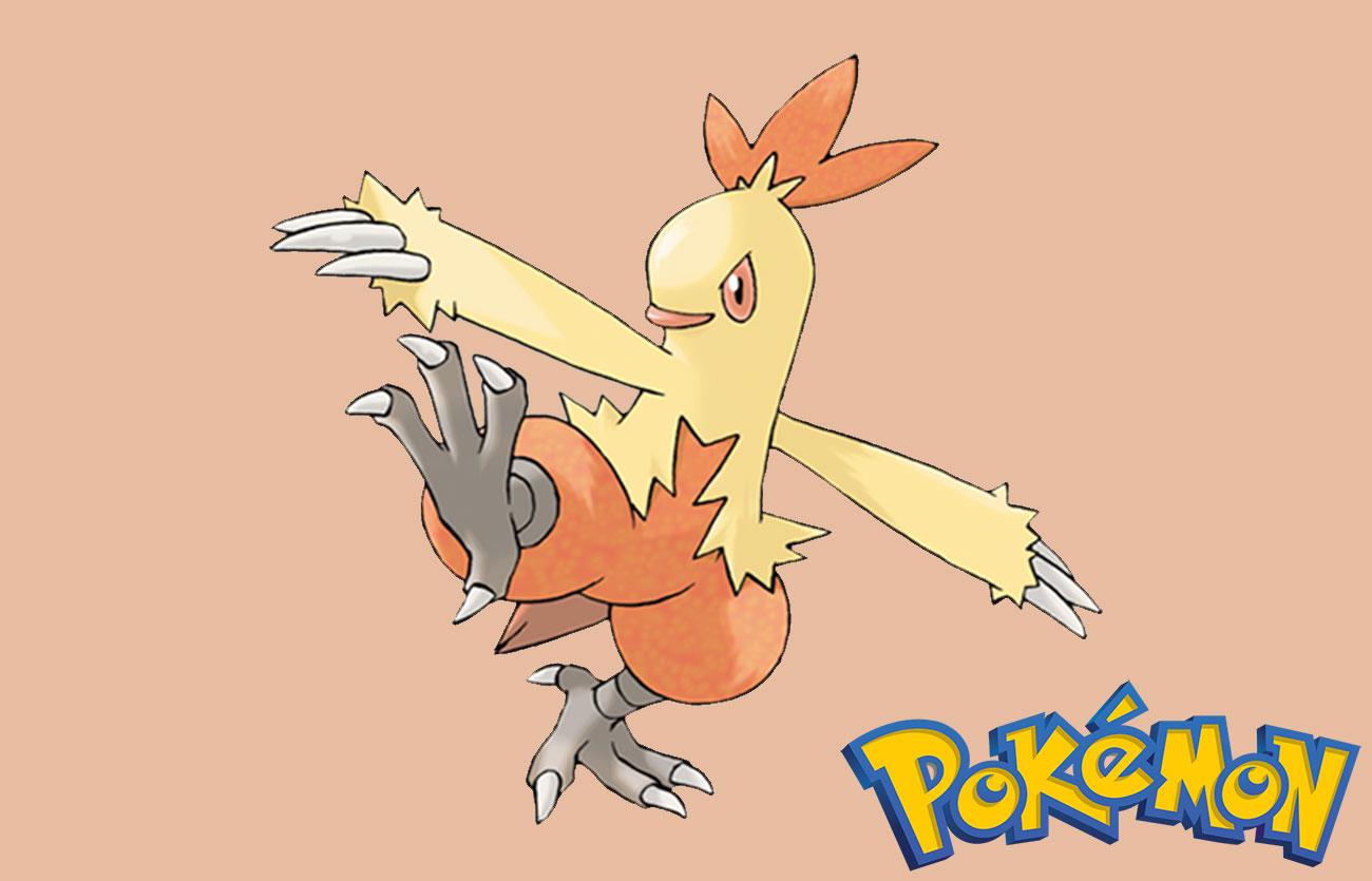 Pokémon Combusken