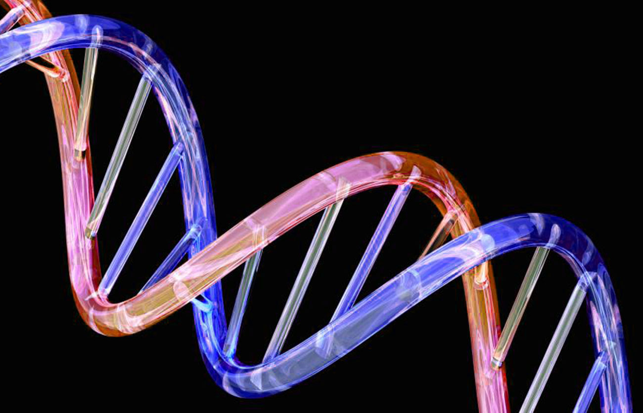 Diferencias entre ADN y genoma