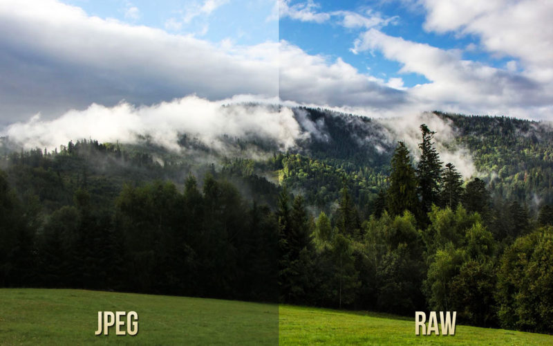 Diferencias entre RAW y JPEG