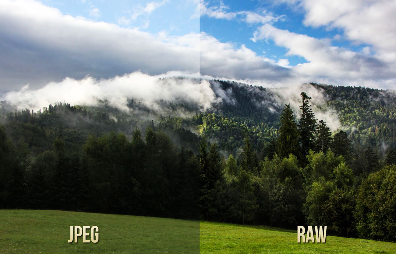 Diferencias entre RAW y JPEG