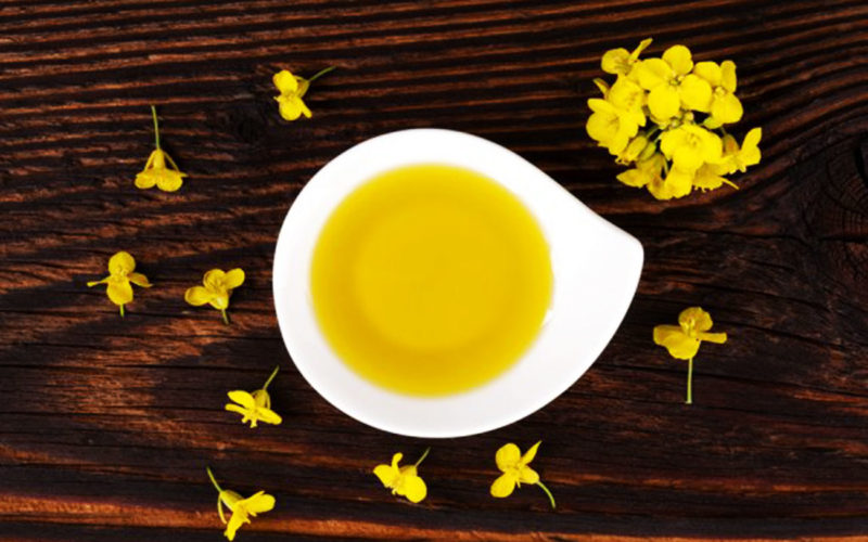Diferencias entre aceite de canola y aceite de oliva