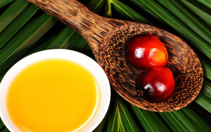 Diferencias entre aceite de palma y aceite de girasol