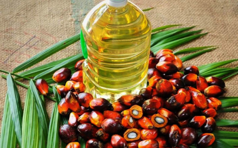 Diferencias entre aceite de palma y aceite de soya