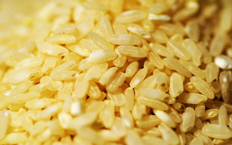 Diferencias entre arroz blanco y arroz integral