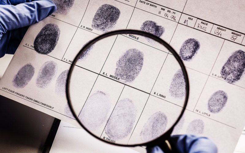 Diferencias entre criminalista y científico forense