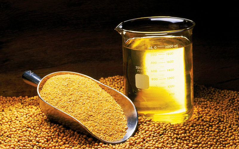 Diferencias entre el aceite de soja y el aceite de maíz