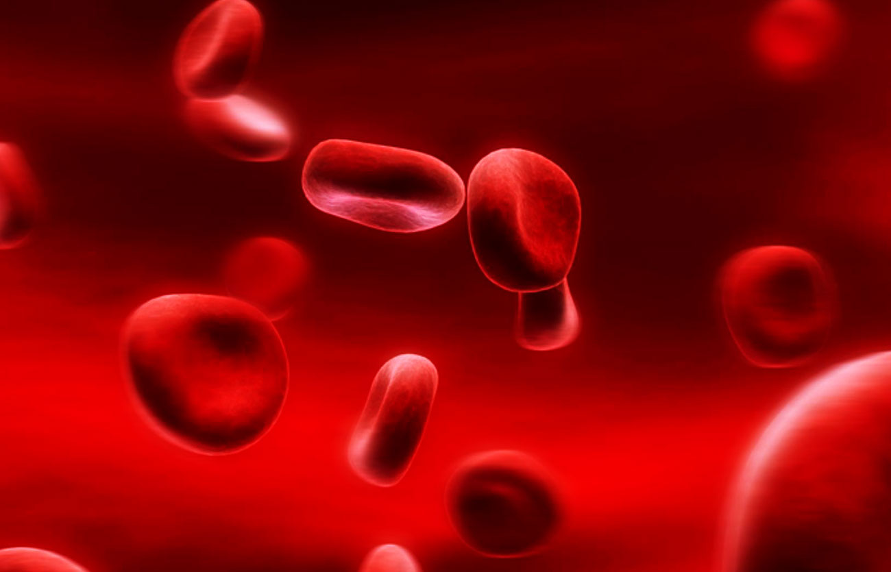 Diferencias entre hemoglobina y sangre
