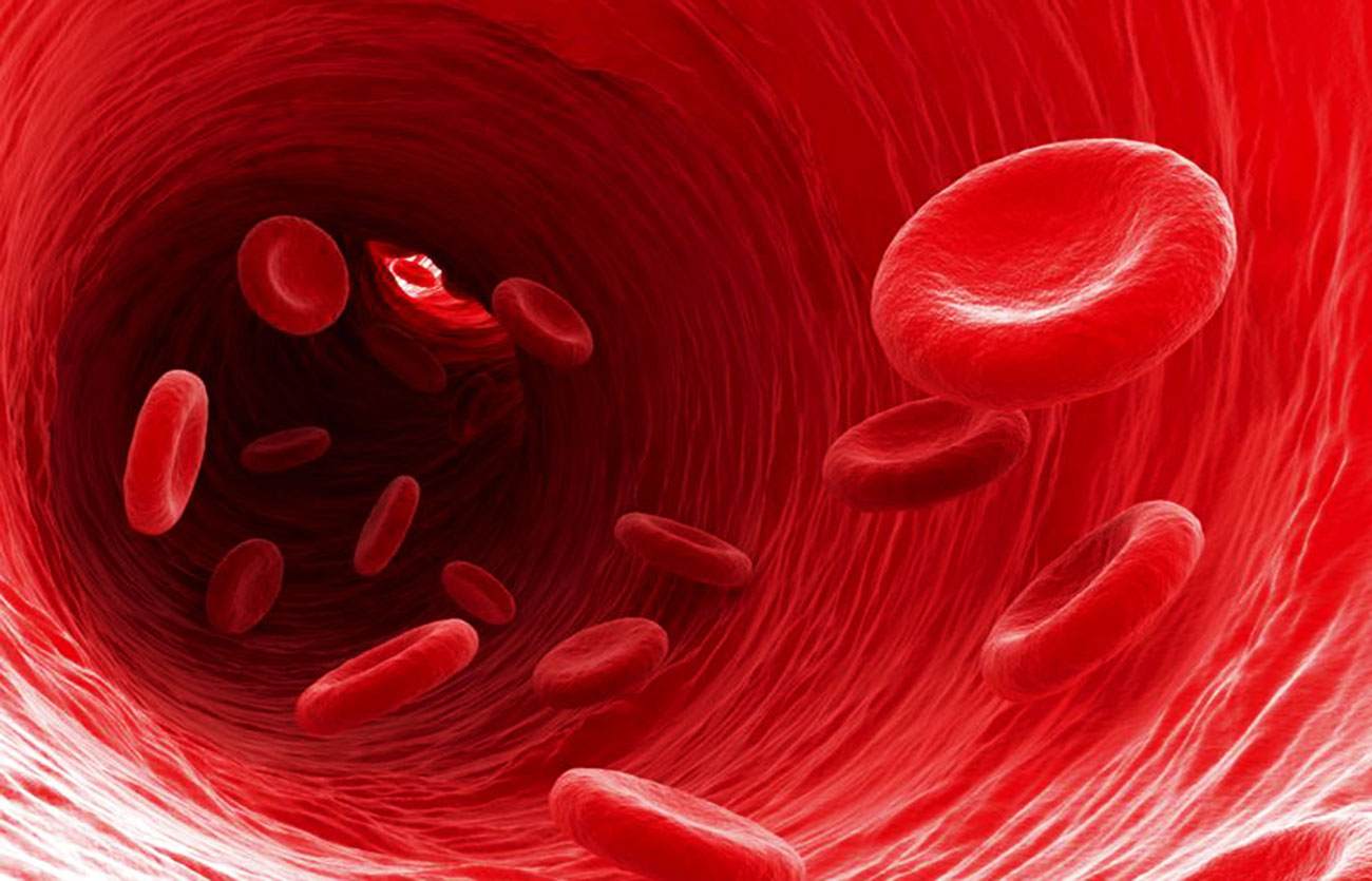 Diferencias entre líquido tisular y sangre