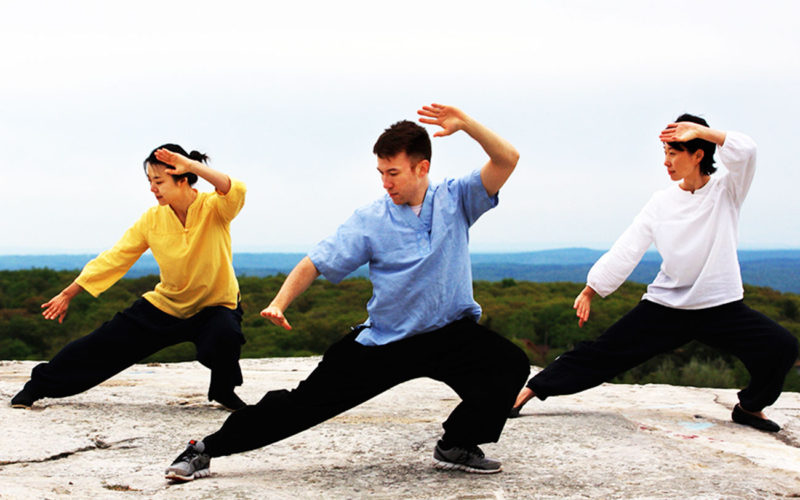 Diferencias entre tai chi y aikido